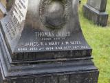image of grave number 570444
